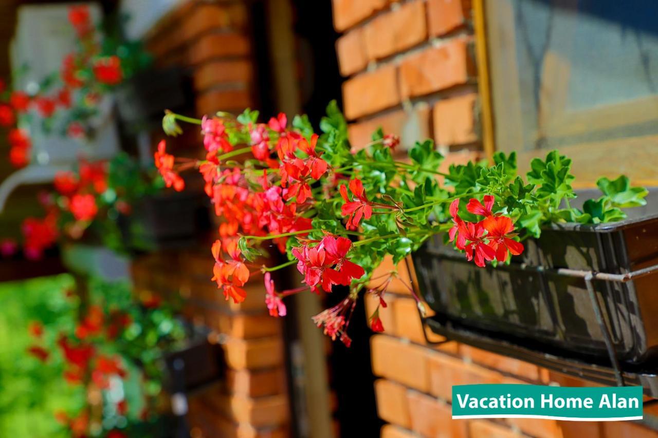 Vacation Home Alan 2 Кулен Вакуф Екстер'єр фото